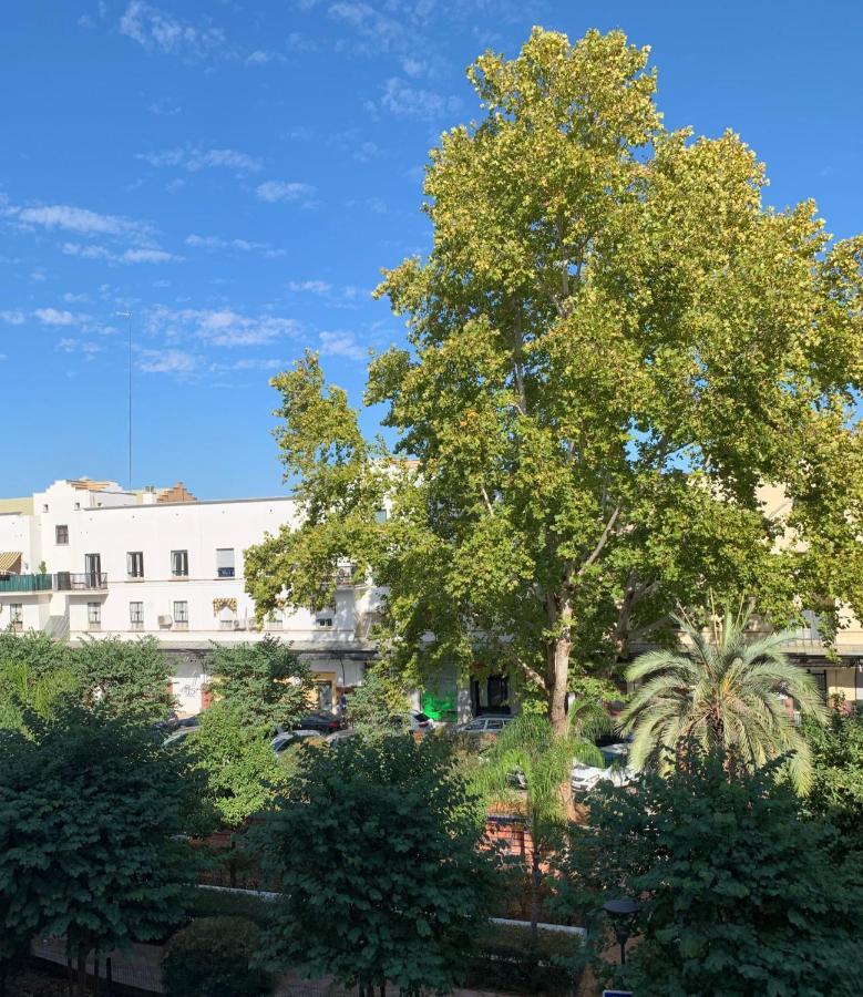 Acogedor Apartamento En Pleno Corazon De Triana Sevilla Exteriér fotografie